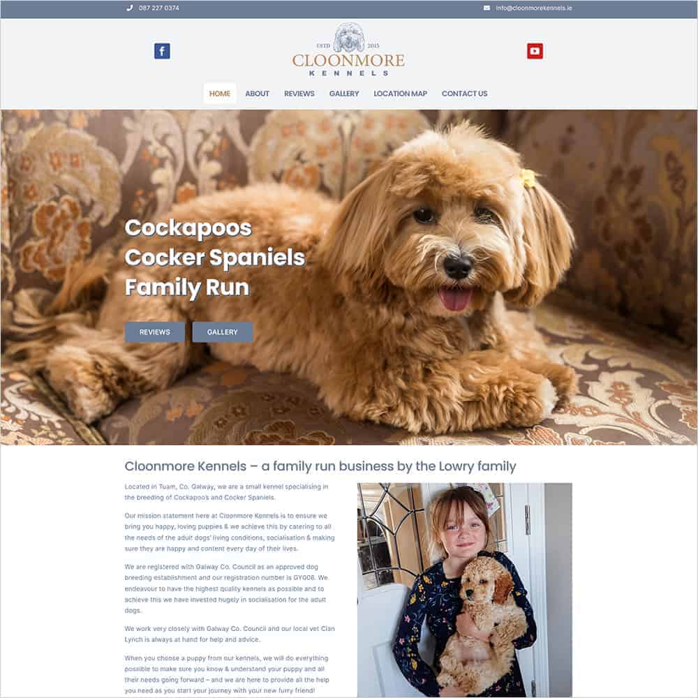 cloonmore kennels new website launched