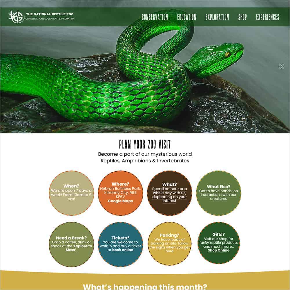 national reptile zoo new ecommerce website launched