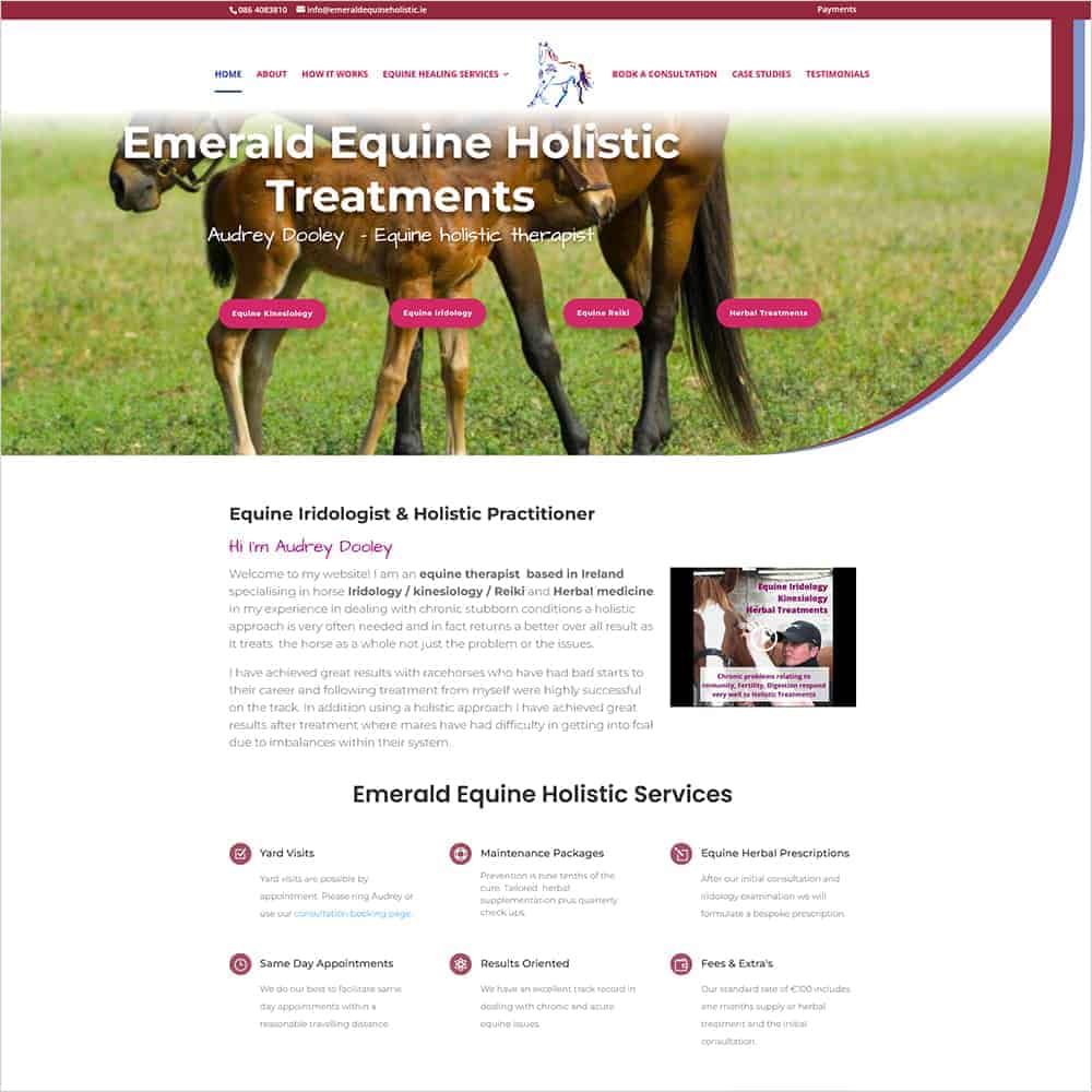 New Client: Emerald Equine Holistic