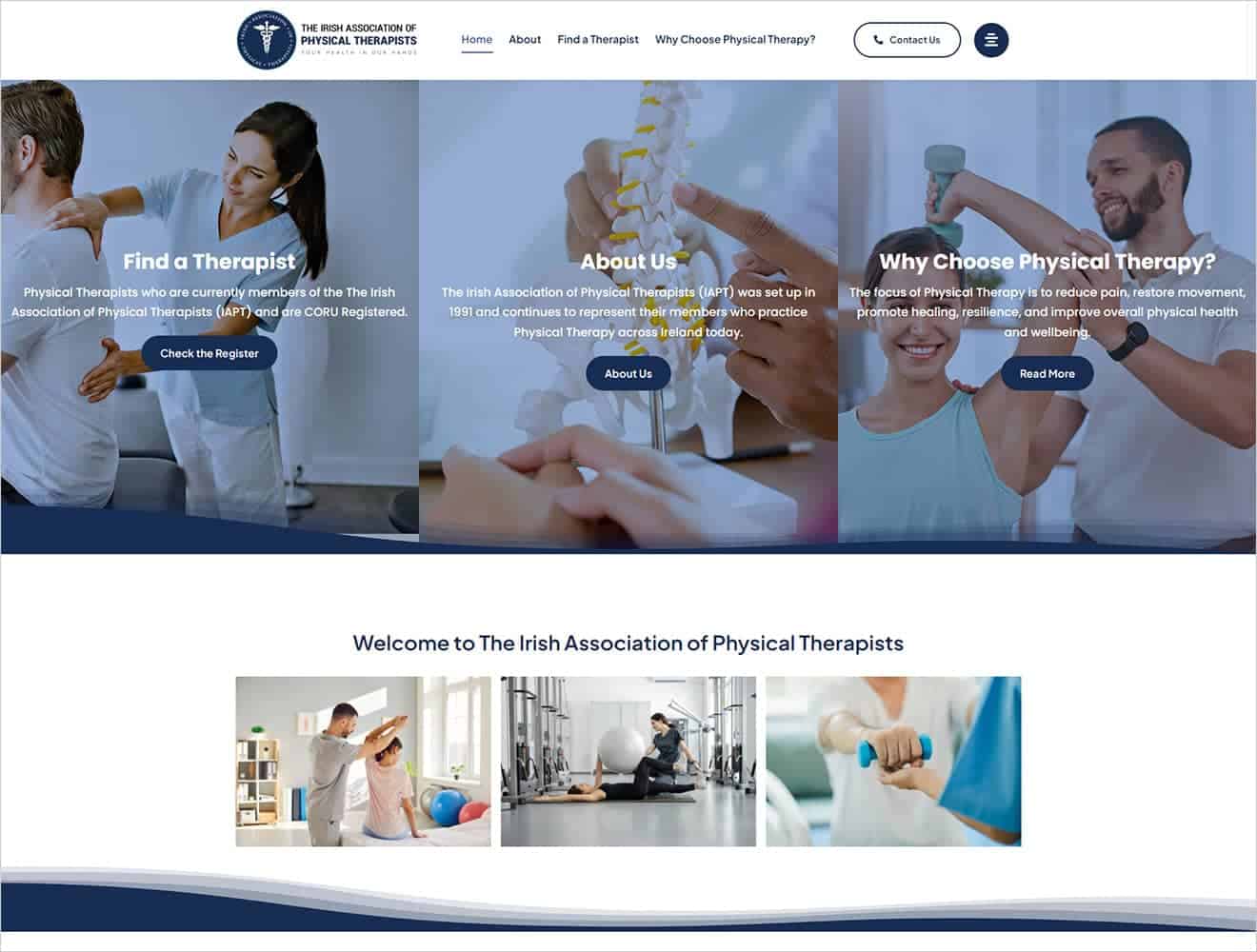 irish association of physical therapists